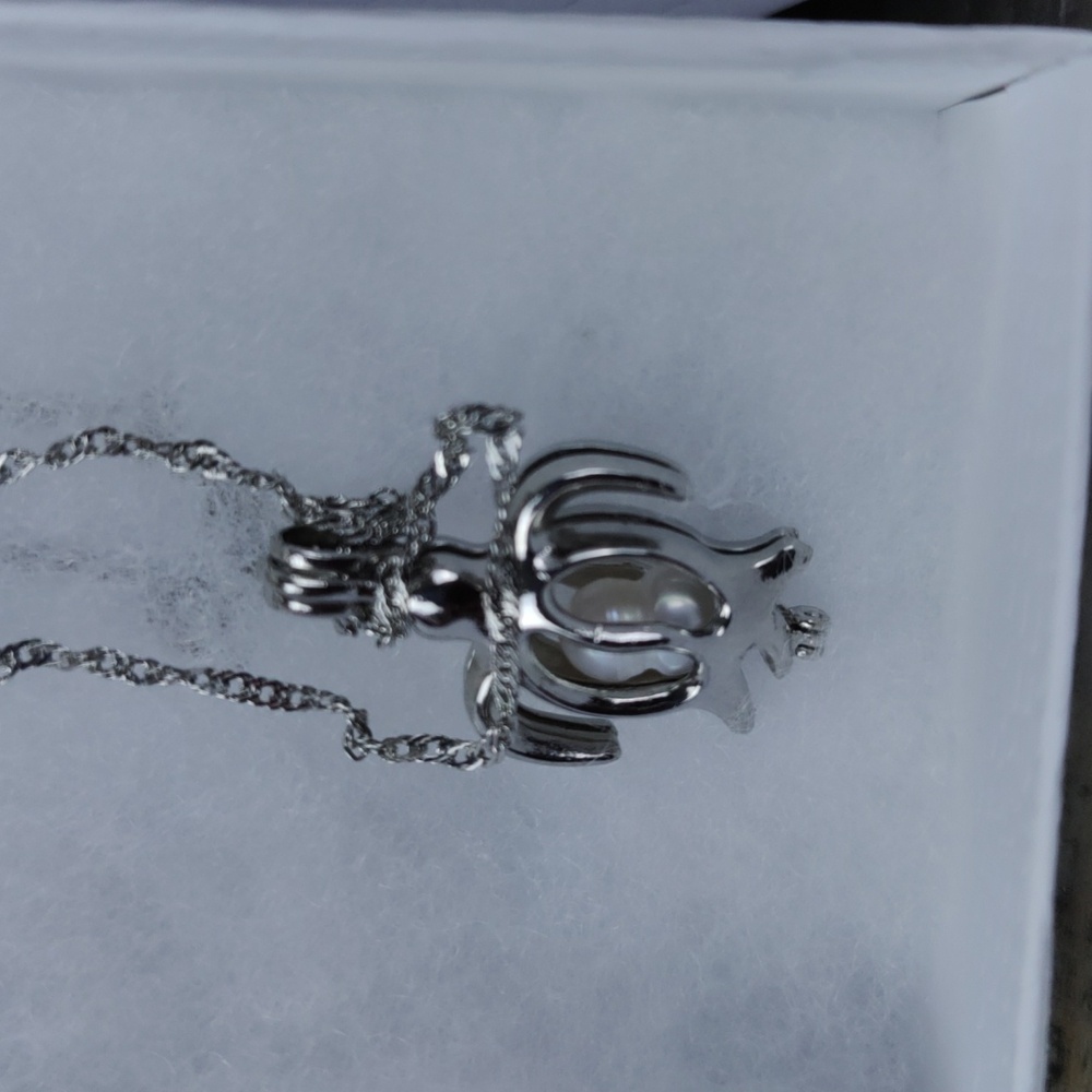 Necklace With a Turtle Pendant with a Pearl Inside 18K GP
